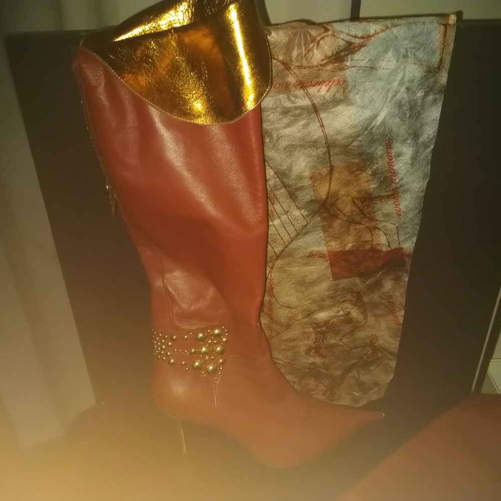 Tall Brick colored embellished boots